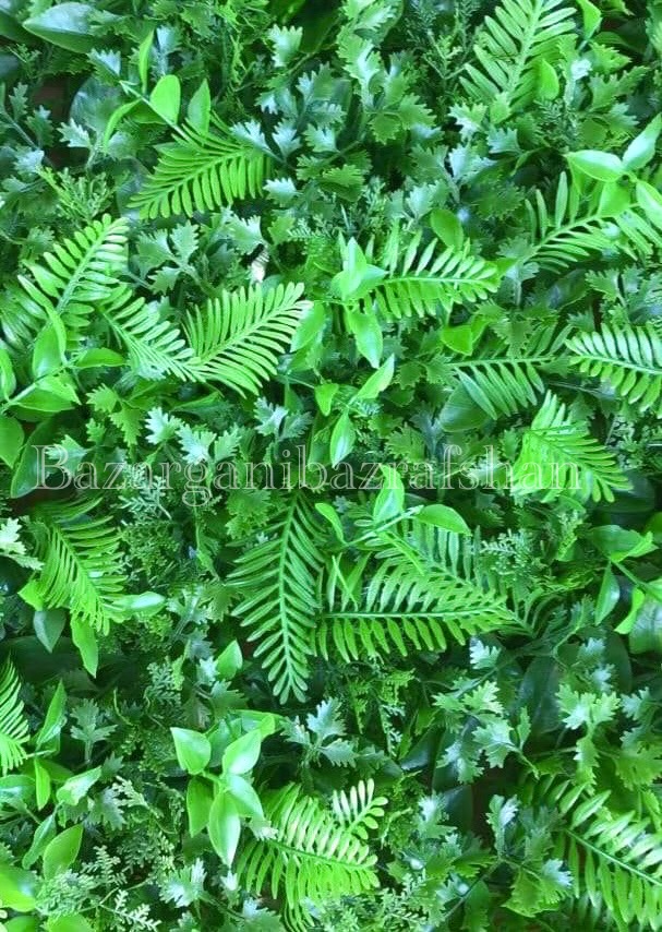 گرین وال سرخس جعفری 